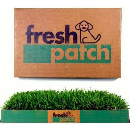Large Real Grass Potty Training Pad for Dogs 15-30 lbs Y234042