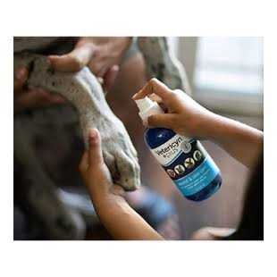 Wound & Skin Care for Pets 16 oz P8314