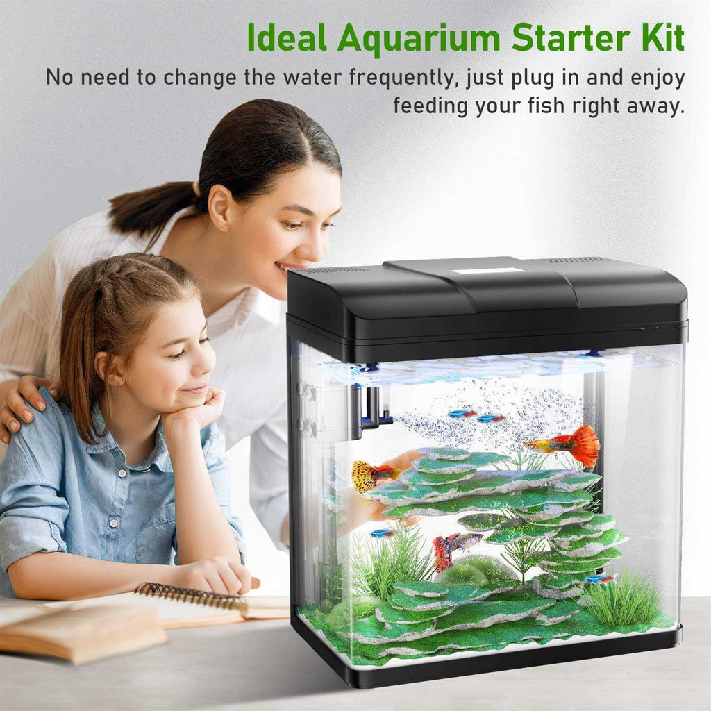 5 Gallon Glass Aquarium with LED Light and Filter N255043