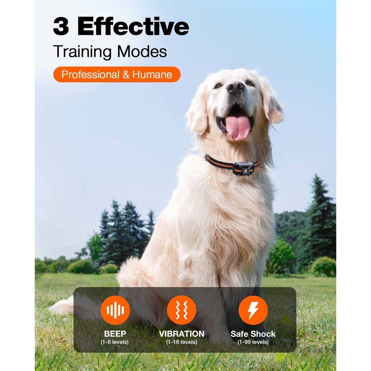 Dog Training Collar with Remote for Small Medium Large Dogs C31871