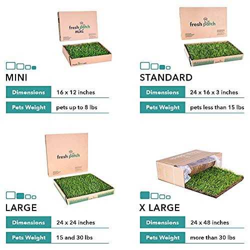 Large Real Grass Potty Training Pad for Dogs 15-30 lbs Y234042