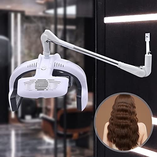 Wall Mounted Hair Dryer with Timer for Salon Use P554