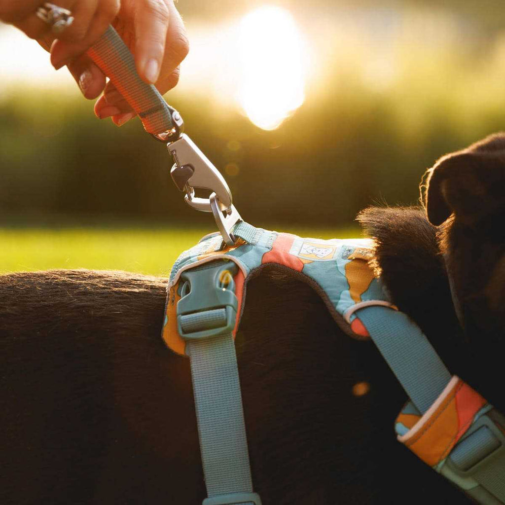 Harness for Dogs W8406