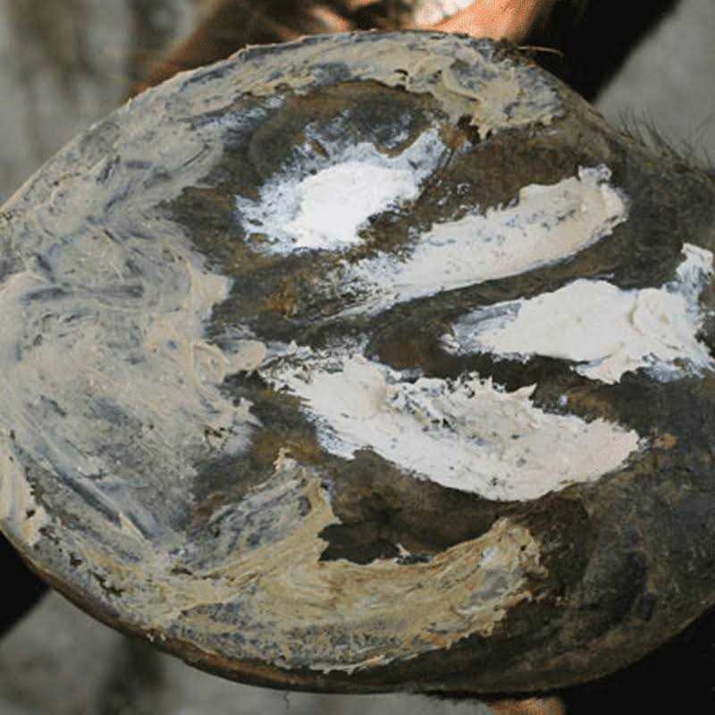 Hoof Clay 750g for Pets G65784