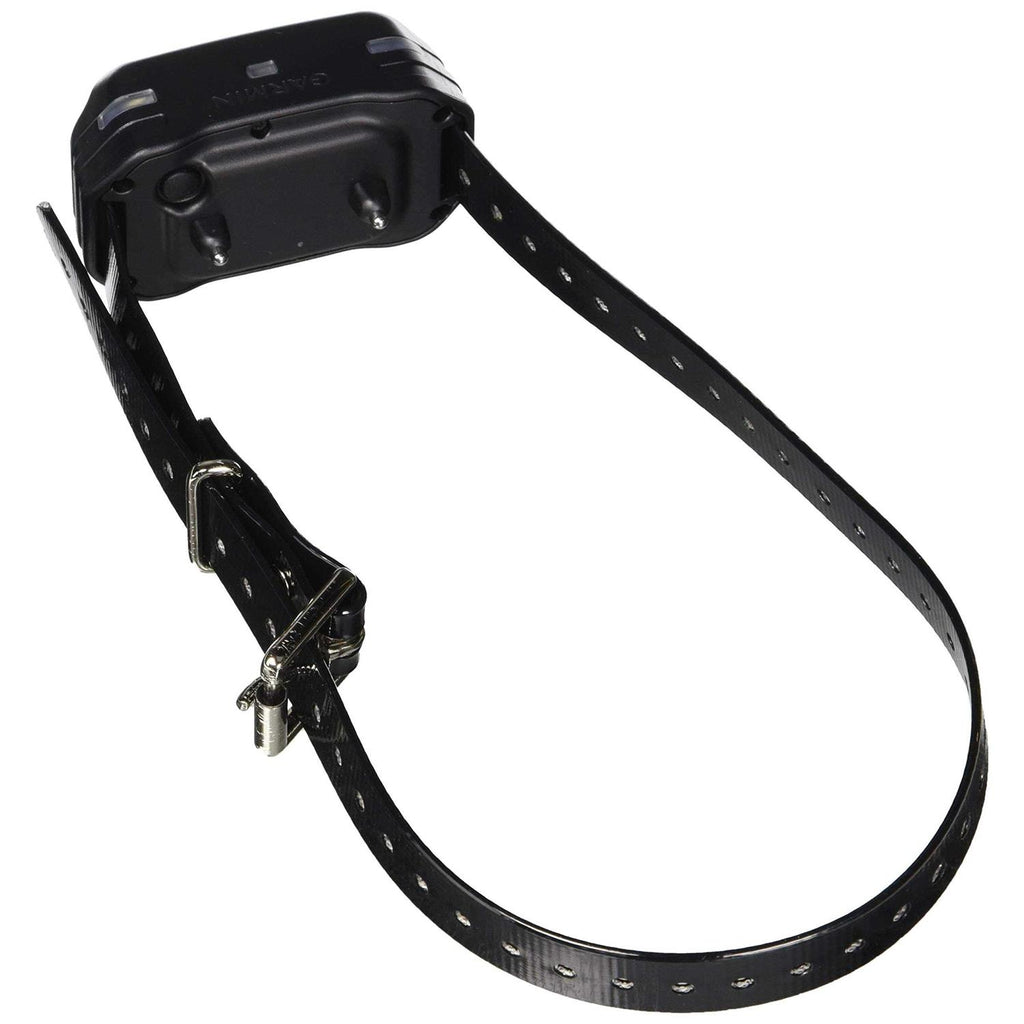 Pet Training System with Remote N8359