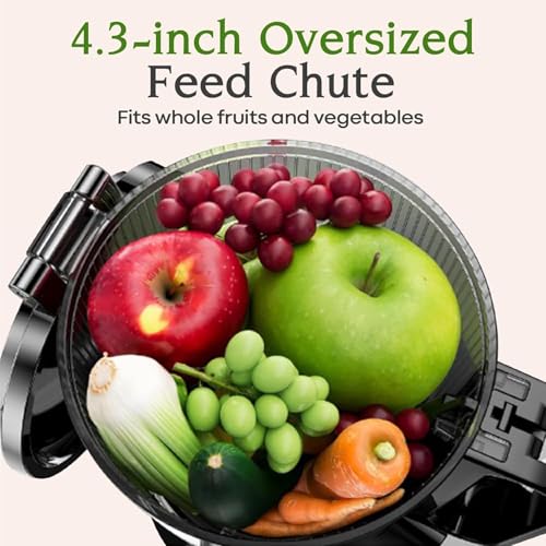 Cold Press Juicer, 200W Slow Masticating Juicer with Large Feed Chute N591