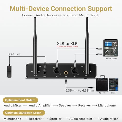 Wireless Microphone System with Receiver for Karaoke and Singing K9162