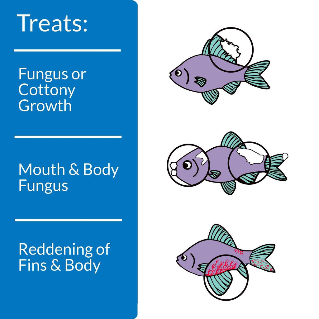 Antifungal Fish Remedy for Aquariums Z4089
