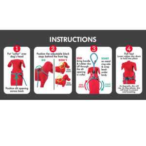 Dog Harness N126440