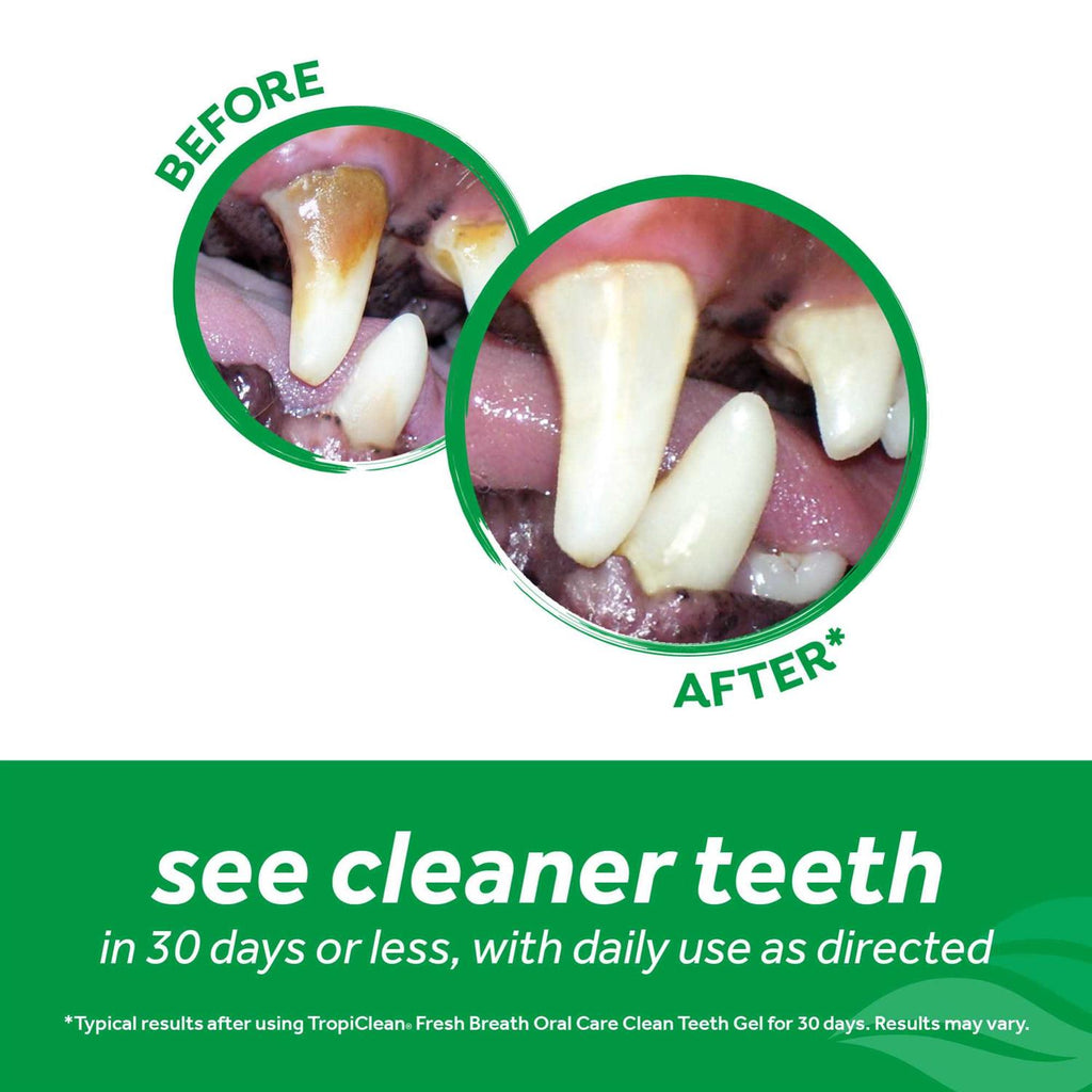 Fresh Breath Clean Teeth Gel for Cats F2353