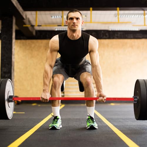 7 ft Olympic Barbell Bar for Weightlifting, 2 Inch 45 lb Bar for Squats, Deadlifts, Presses, Rows, Curls S10015