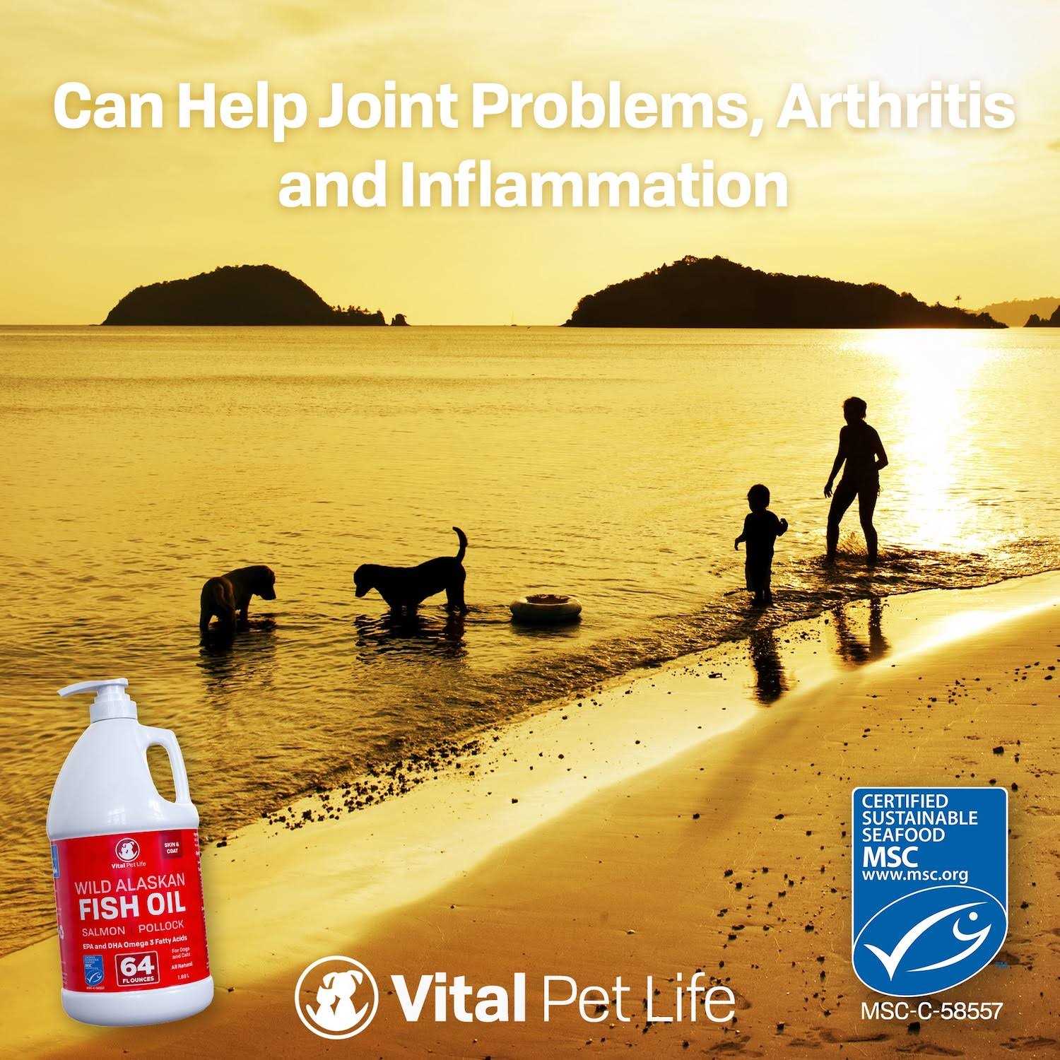 Fish Oil for Dogs Q518279