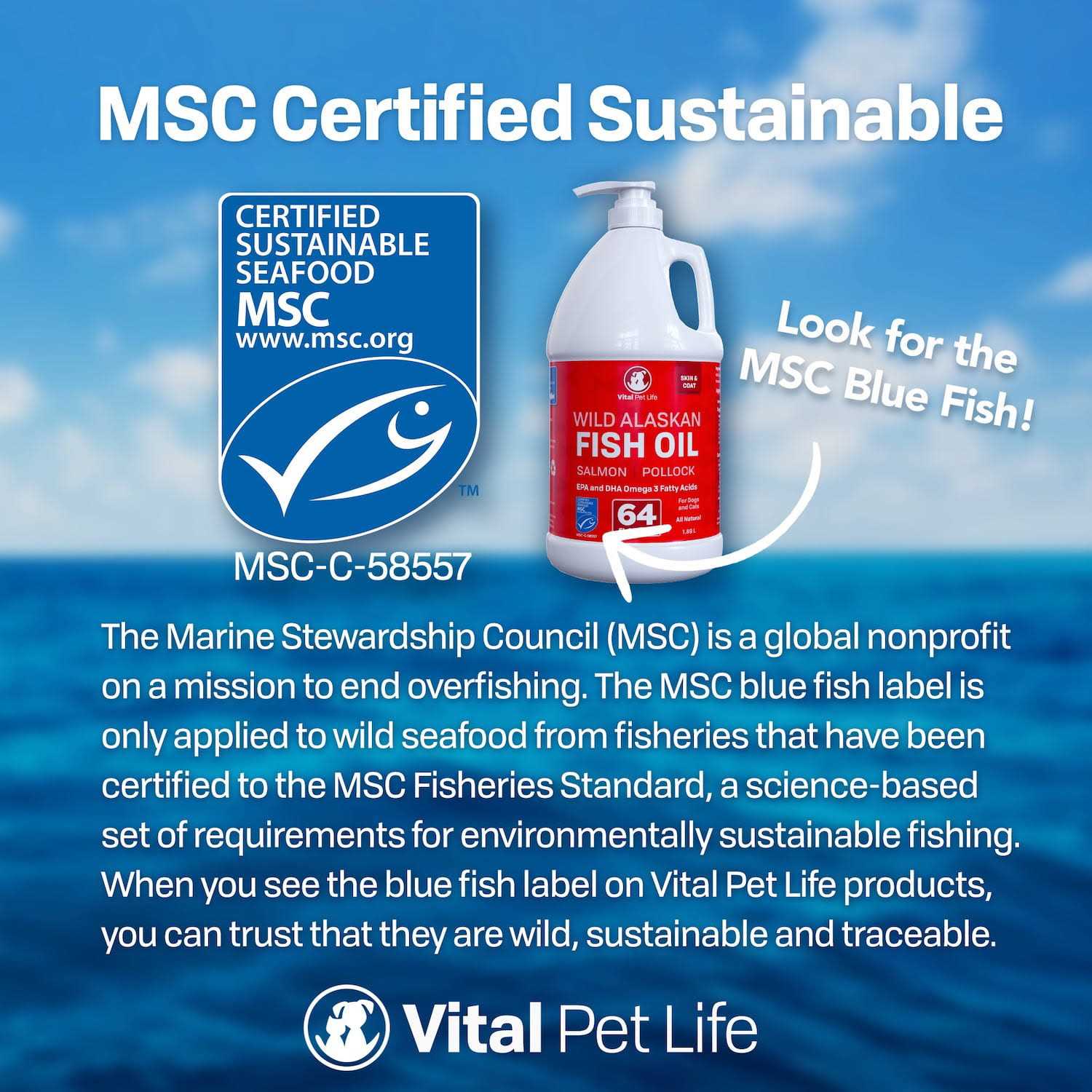 Fish Oil for Dogs Q518279