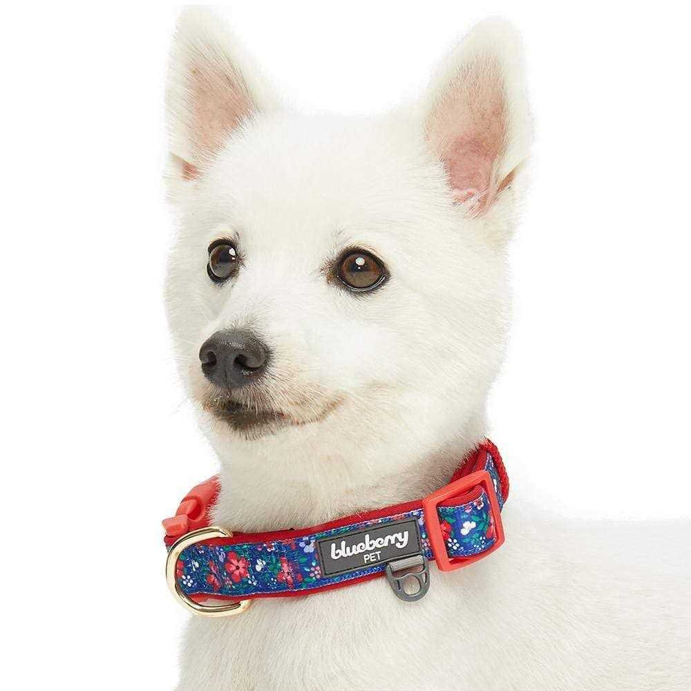 Dog Collar C415