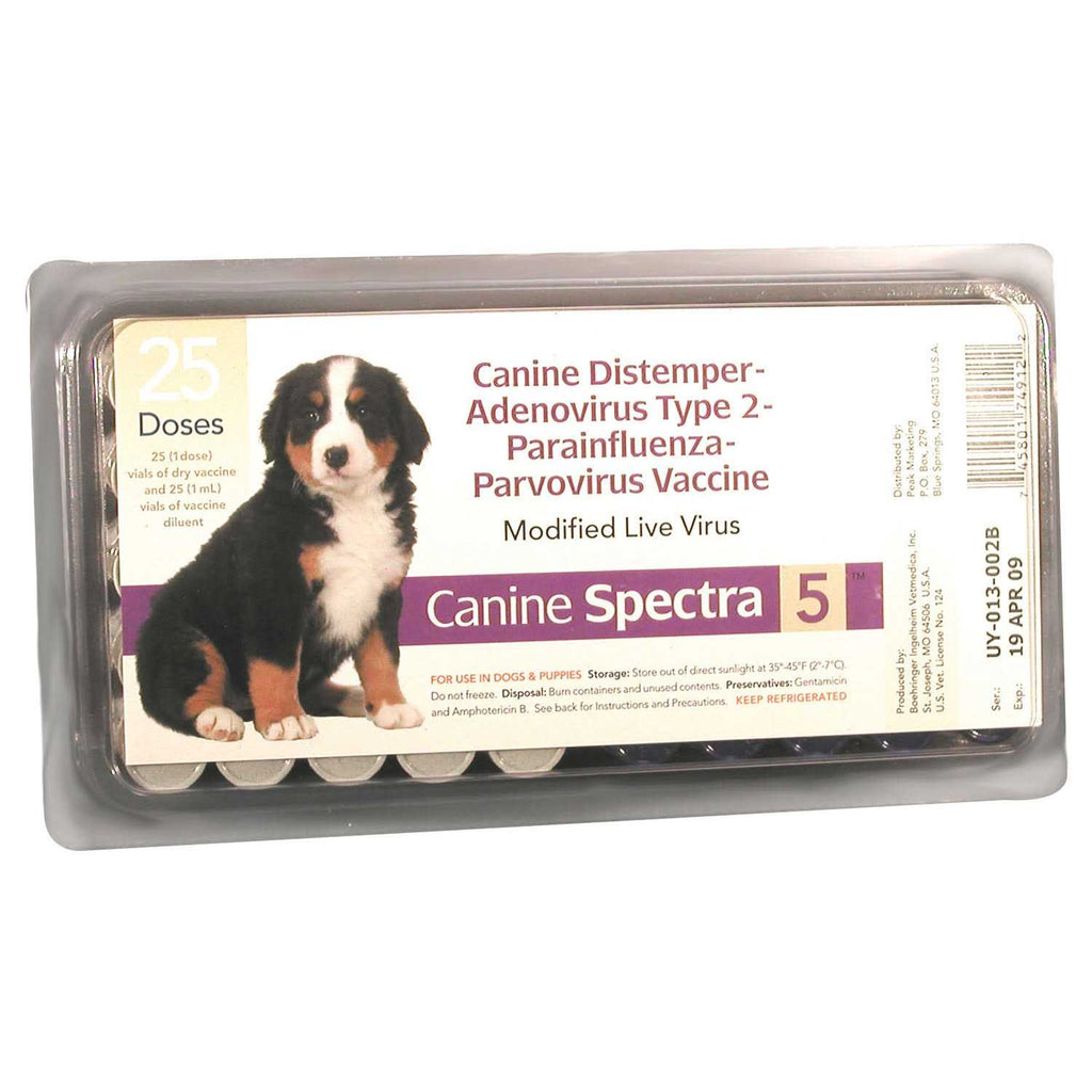 Dog Vaccine Q51380