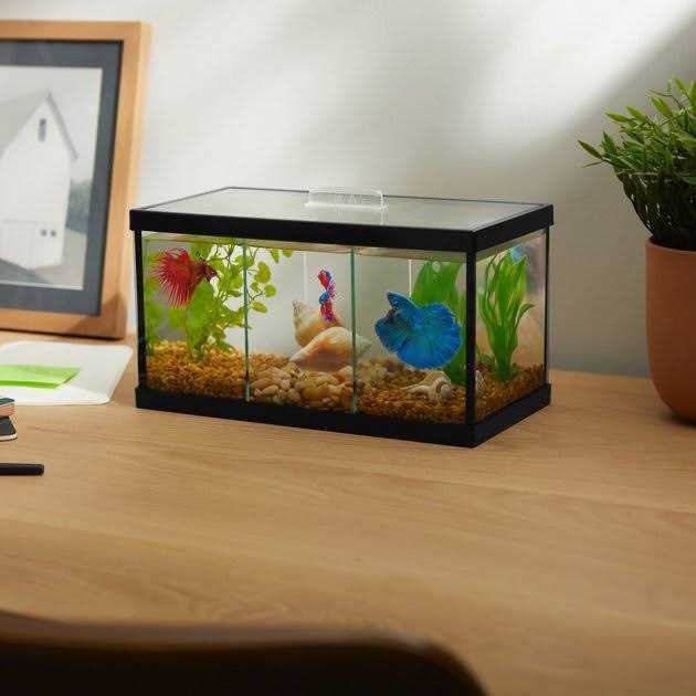 3 Betta Aquarium with Divider/Top P5422