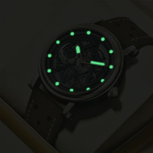 Automatic Watch for Men Black Skeleton Dial 50M Waterproof Leather R84810