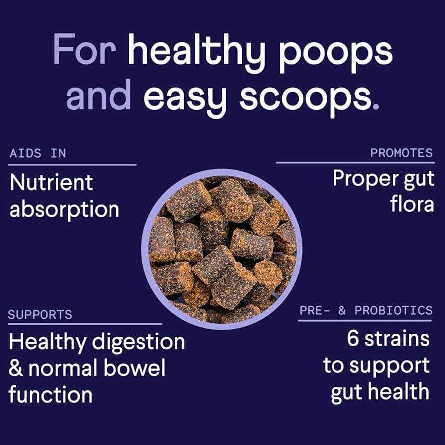 Digestive Probiotics Supplement for Dogs D592