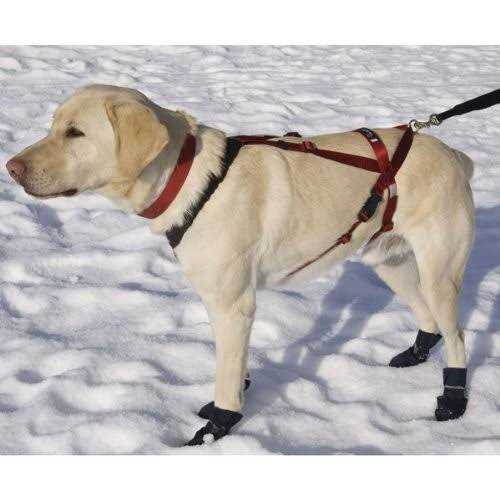 Dog Harness C5470