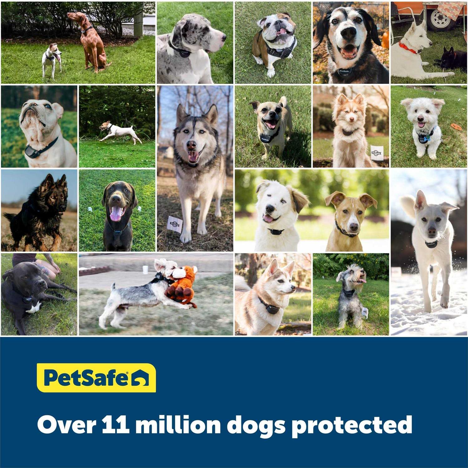 In-Ground Pet Fence System V4485