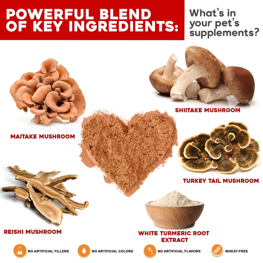 Turkey Tail Mushroom for Dogs Immune Support with Reishi, Shiitake, Maitake L7799