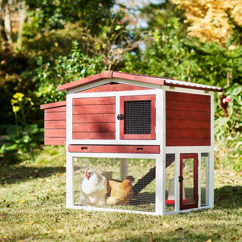 Frisco Wooden Outdoor Chicken Coop - Pet Supplies online store