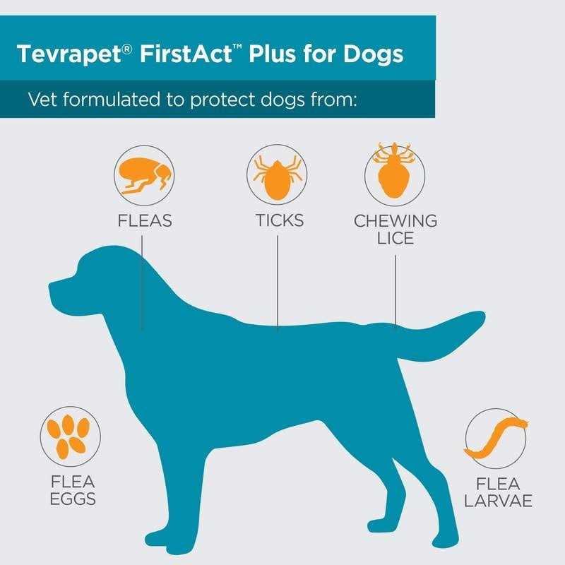 Flea and Tick Prevention for Dogs Q560934