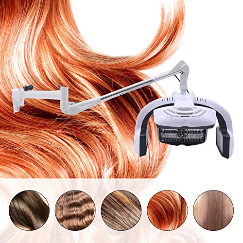 Wall Mounted Hair Dryer with Timer for Salon Use P554