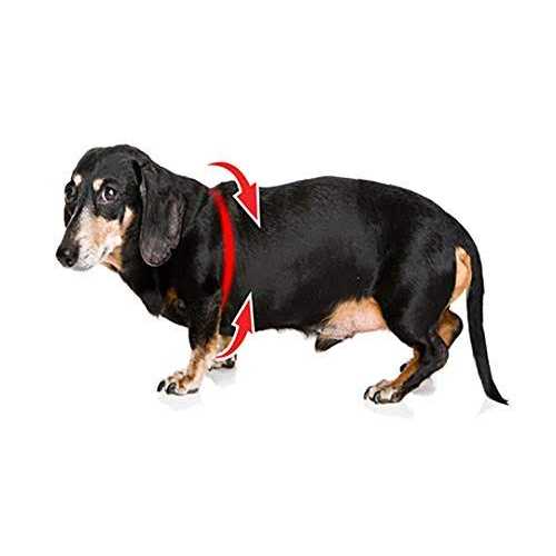 Pebble Grain Dog Harness C708315