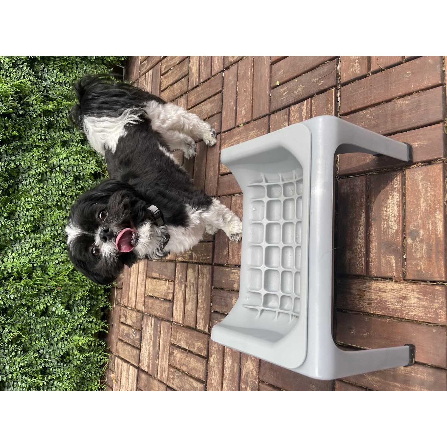 Elevated Slow Feeder Bowl for Dogs and Cats D15873