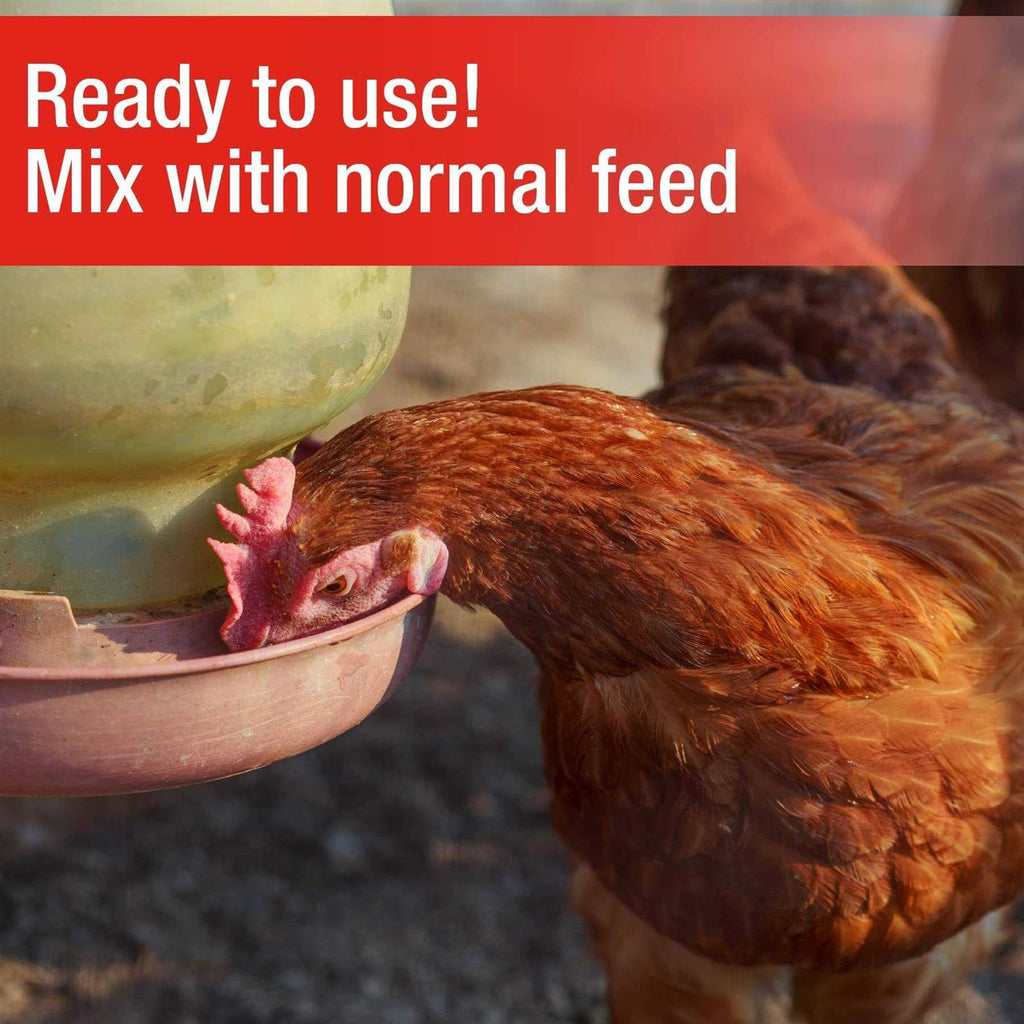 Poultry Grit for Chickens Y827229