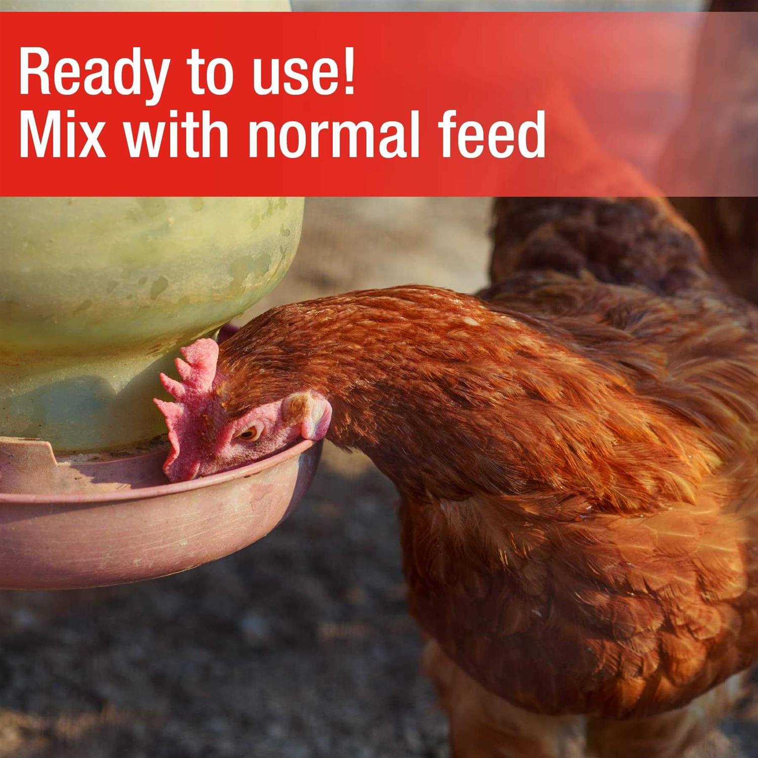 Poultry Grit for Chickens Y827229
