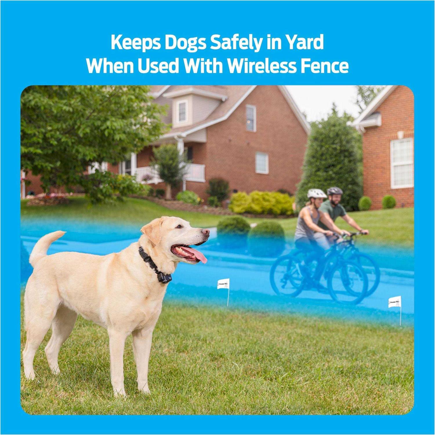 Wireless Add-A-Dog Collar G8486