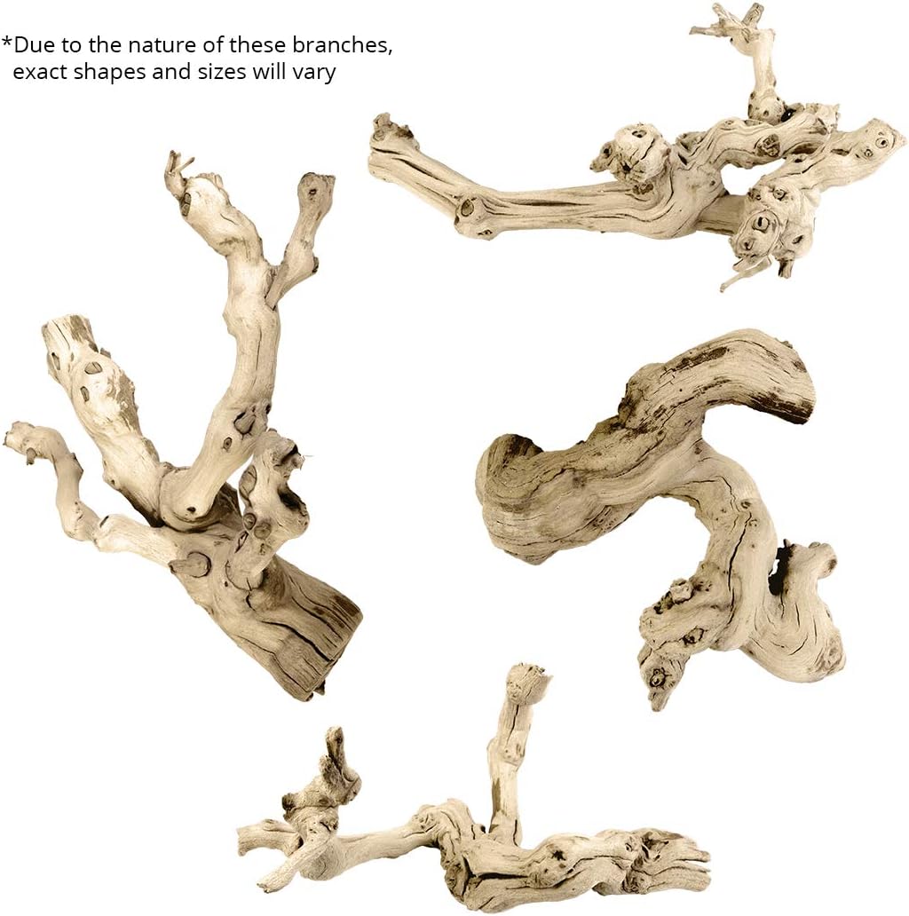 Natural Grapewood Vine Branch, 6-Inch F488145