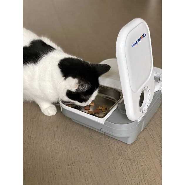 Automatic Pet Feeder with Stainless Steel Bowls Z4778