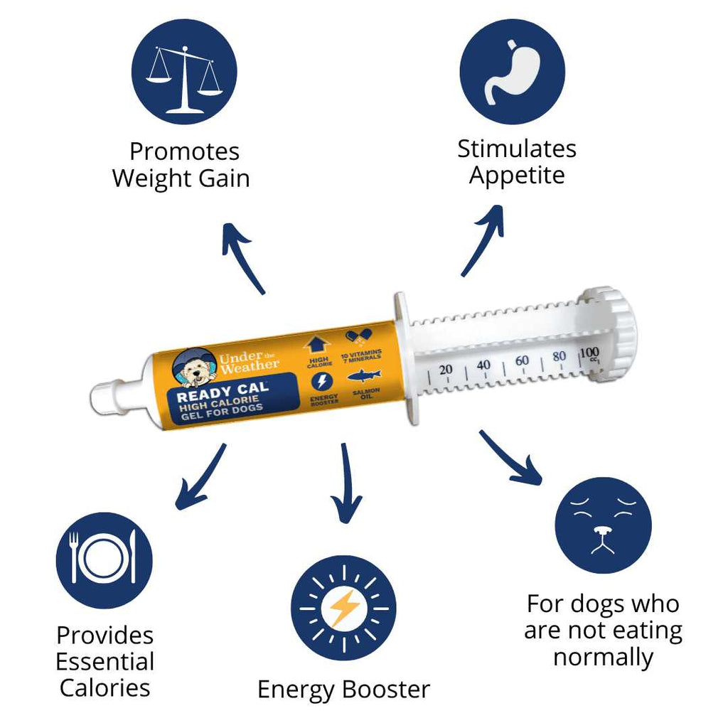 Calming Supplement for Dogs U389