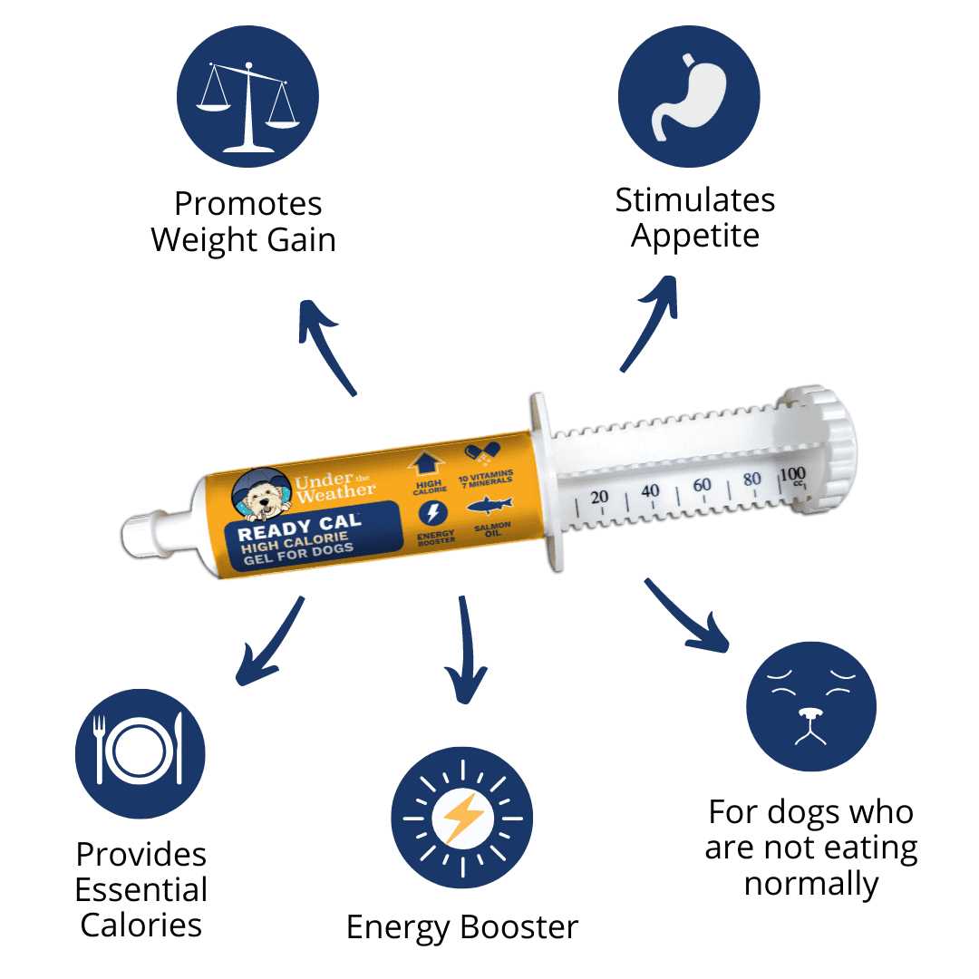 Calming Supplement for Dogs U389