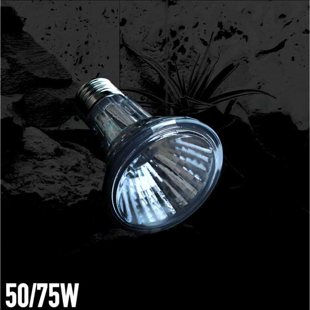 Halogen Heat Lamp for Pets J68865