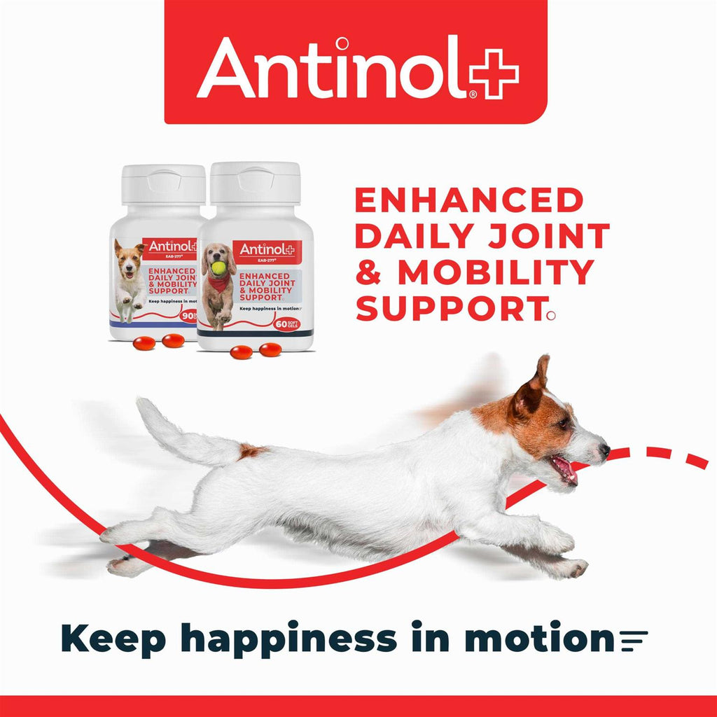 Pet Joint Supplement 60ct F79653