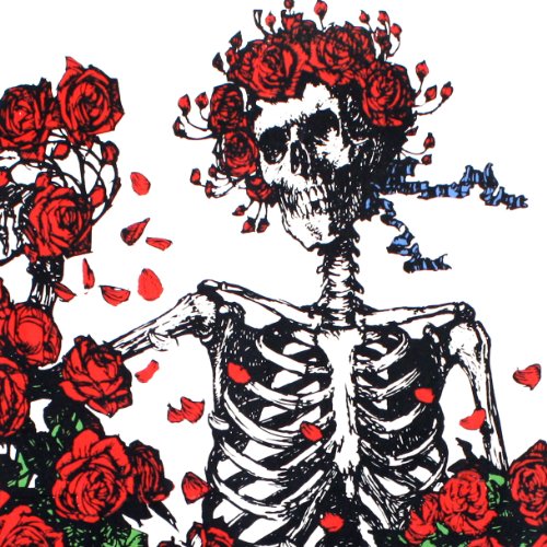 3D Bertha Skeleton and Roses Tapestry Wall Art Beach Sheet 60x90 Inches Y28073