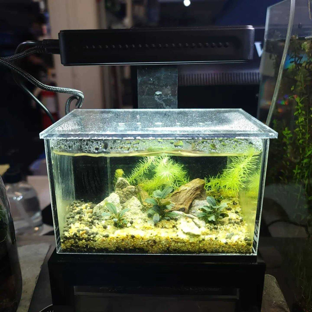 Desktop Micro Reef-Ready Aquarium 40oz Z663719