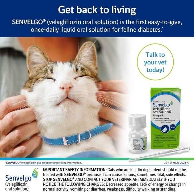 Oral Solution for Cats 15mg/ml B5872