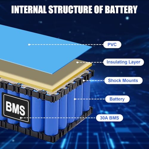 36V 10Ah Lithium Ebike Battery with 2A Charger and BMS G239