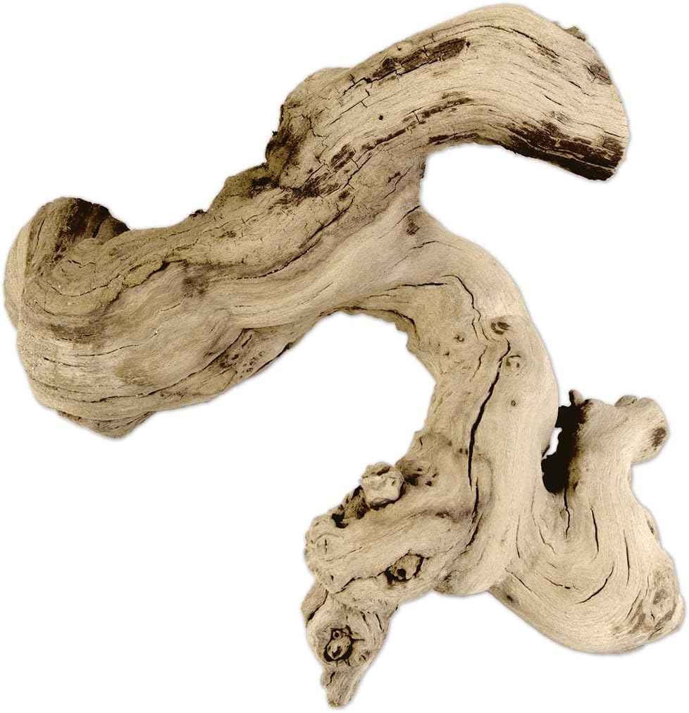 Natural Grapewood Vine Branch, 6-Inch F488145