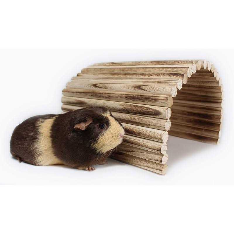 Flexible Wood Hideout Extra Large House Tunnel Ramp S691