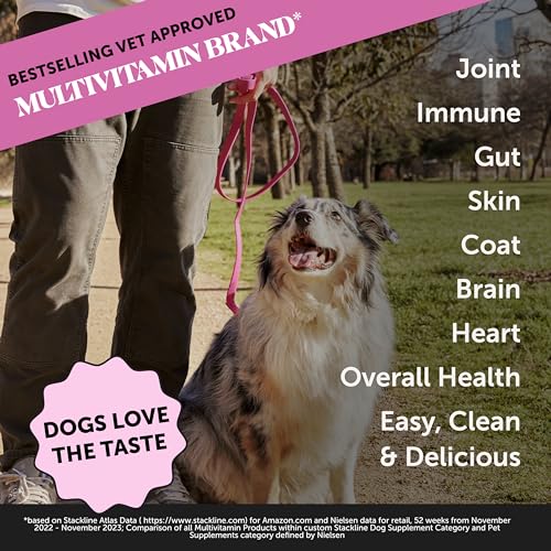 Multivitamin Dog Supplement with Glucosamine, Probiotics & Omega Fish Oil I102353