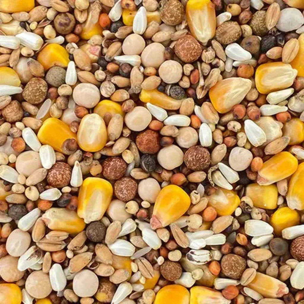 Classic Racing Pigeon Food Blend 50lbs R91125