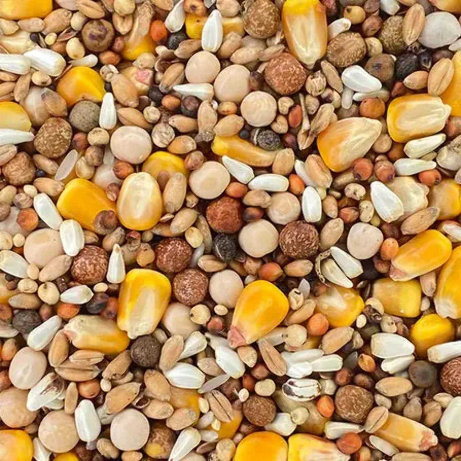 Classic Racing Pigeon Food Blend 50lbs R91125