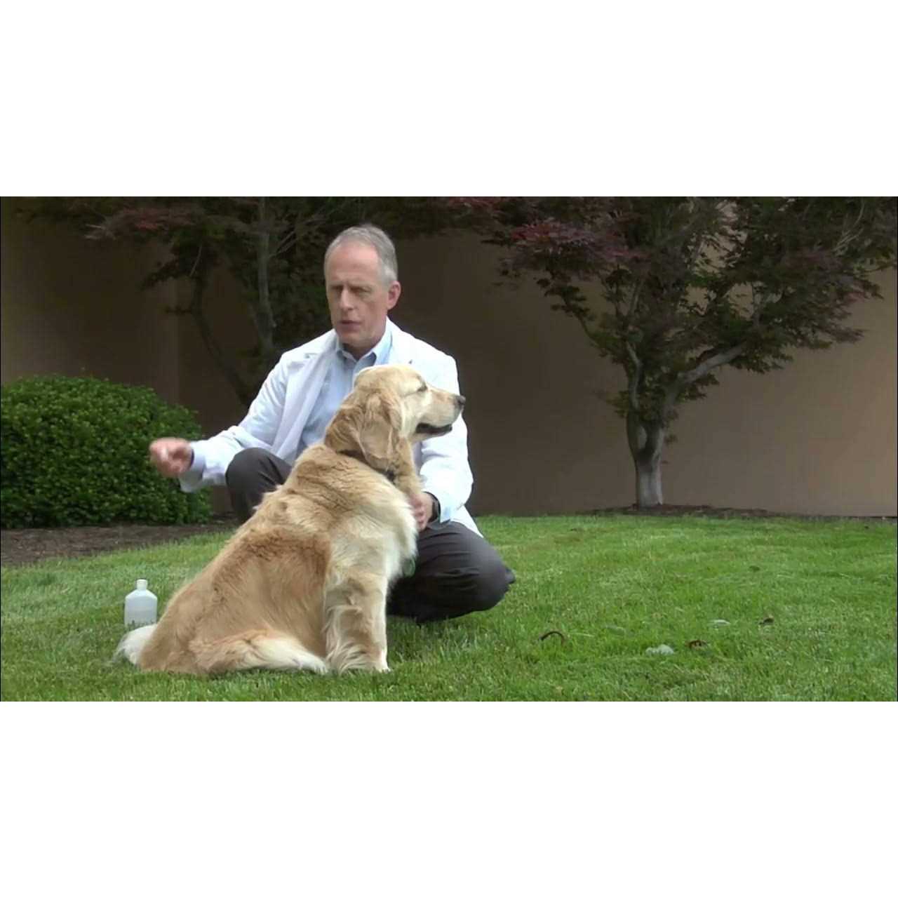 9-in-1 Dog Vaccine for Puppies and Adult Dogs F779975
