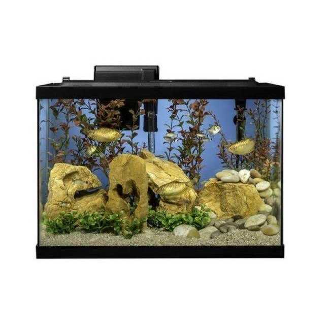 Aquarium 20 Gallon Fish Tank Kit L8422